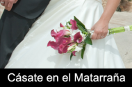 Posada Guadalupe