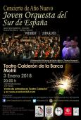 Concierto de Año Nuevo