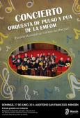 ORQUESTA DE PULSO Y PÚA