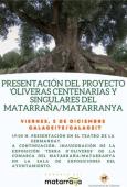 'Oliveras centenarias y singulares del Matarraña/Matarranya