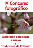 IV Concurso fotográfico Calanda