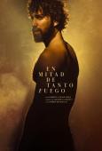 EN MITAD DE TANTO FUEGO