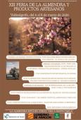 XIII Feria de la almendra y productos artesanos