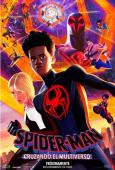 Spider-Man: cruzando el multiverso