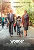 Wonder